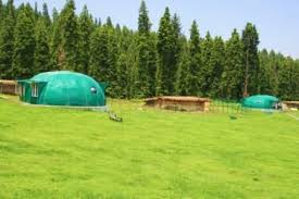 Hotel Highlands, Hotel Highlands Pahalgam, Highlands Hotel Pahalgam ...
